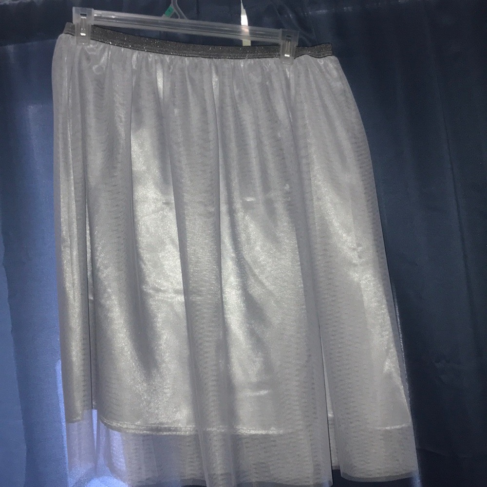 Carolyn Taylor skirt new without tags never worn